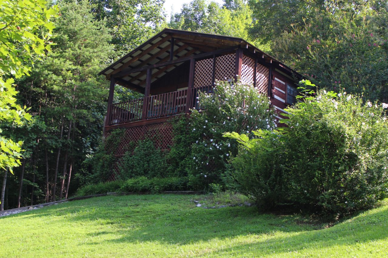 side view of log cabin with greenery